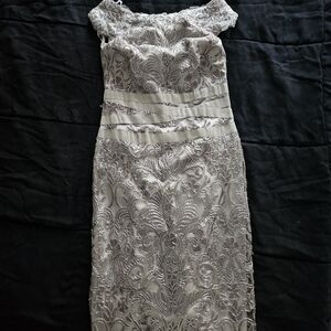 Elegant Silver Tadashi Shoji Lace Knee Length Dress